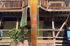 IMG_1690-rotated-1