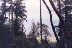 Scanned_20260821-1113-05