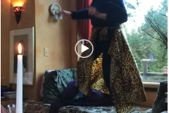 vid